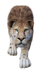 3D Rendering Sabertooth Tiger on White