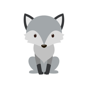 Gray wolf. Cartoon, wolf grey the nature of the character.