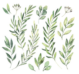 Hand drawn watercolor illustrations. Botanical clipart. Set of Green leaves, herbs and branches. Floral Design elements. Perfect for wedding invitations, greeting cards, blogs, posters and more - 195343575