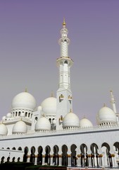 Fototapeta na wymiar Mosquée Abu Dhabi Émirats Arabes Unis (2).jpg