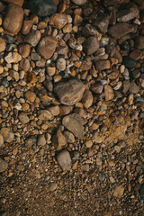 Small gravel textured background.