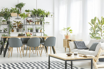 Open space bright living room