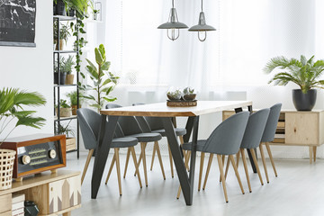 Palm and dining table