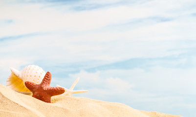 Fototapeta na wymiar Summertime Season, colorful natural seashell and starfish on sandy beach with sunny colorful blue sky background and copy space. Traveling and feeling lonely, cheering up, rest, refresh and relaxation