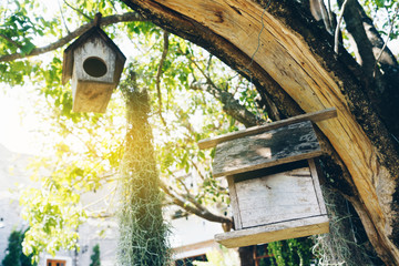 Little wooden birdhouse hanging on tree.