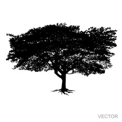 image of big tree silhouette Vector isolated on white background