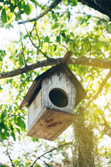 Little wooden birdhouse hanging on tree.