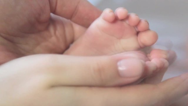 Baby Feet In Mother Hands. Newborn Baby's Feet On Female Hands Closeup