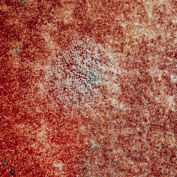 natural mold texture, abstract background