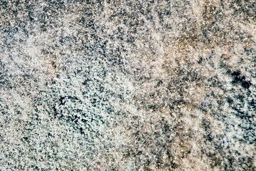 natural mold texture, abstract background