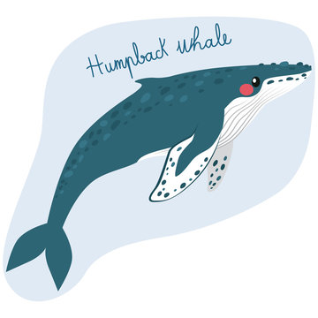 Large humpback whale illustration underwater with text