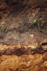 ground in cross section