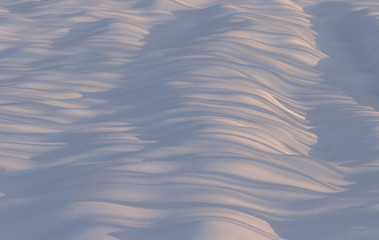 Snow waves with tree shadow