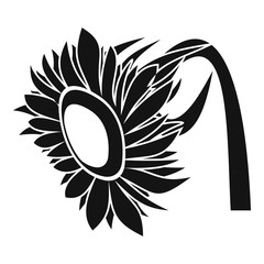 Beautiful sunflower icon. Simple illustration of beautiful sunflower vector icon for web