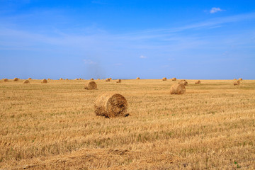golden straw stubble field in autumn