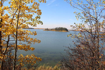 Astotin Lake Through The Bushs, Elk Island National Park, Alberta