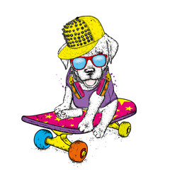 Funny dog on a skateboard. Vector illustration. Pedigree dog. Puppy wearing a cap and headphones.