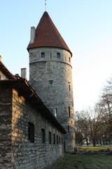 Fototapeta na wymiar Old Town, Tallinn, Estonia