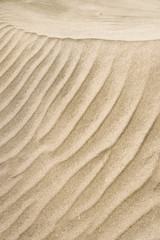 Sand pattern, interesting abstract texture from sand tune on cape verde. Vertical shot