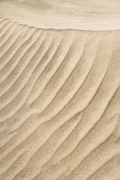 Sand pattern, interesting abstract texture from sand tune on cape verde. Vertical shot