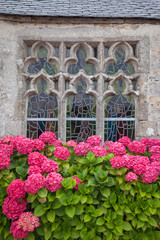 Ancient decorative window with stained glass and hydrangea flowers