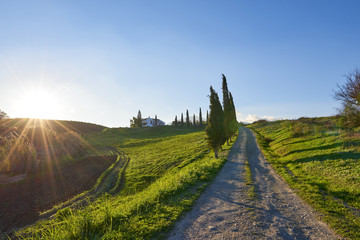 Campo
