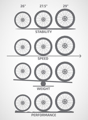 Vector bicycle wheels of different diameter and type info graphic.