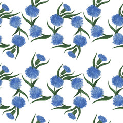 Seamless pattern with cornflower flowers watercolor floral pattern