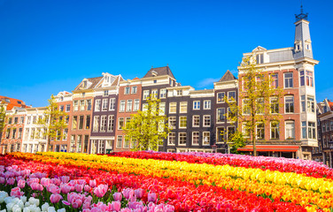 Fototapeta na wymiar Traditional old buildings and tulips in Amsterdam, Netherlands