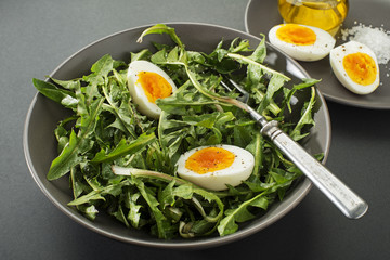 Dandelion salad