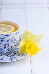 Lemon tea and yellow daffodil on a white background. Free space