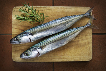 Fish mackerel