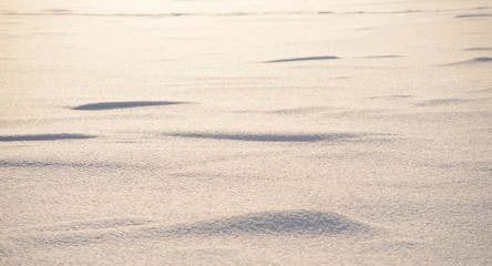 Fresh snow background.