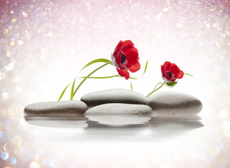 Obraz na płótnie Canvas water spa stones and flower