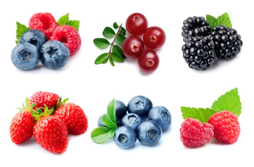 Collection of berry