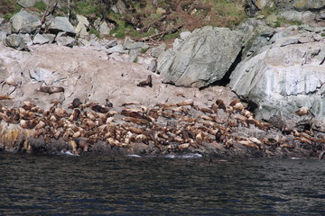 Yukon Passage, Alaska & Canada