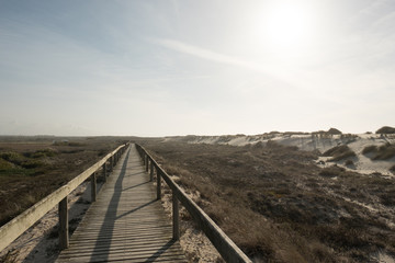 Path to the beach
