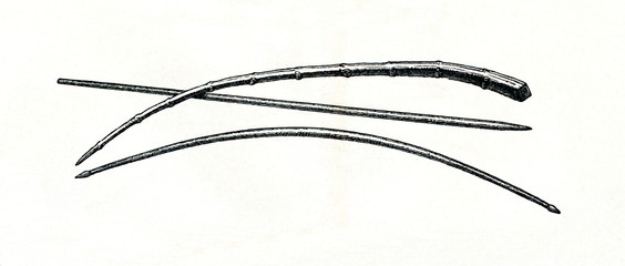 Flail, wooden spear and hunting bow from prehistoric stilt-house settlement (from Meyers Lexikon, 1896, 13/754/755)