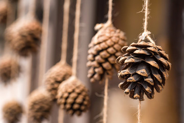 Pine cone hangs on rope close
