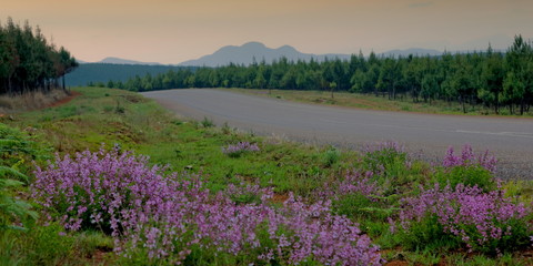 Naklejka premium altitude