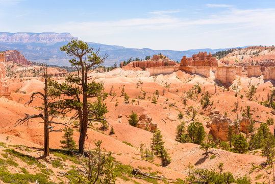Bryce Canyon National Park - Hiking on the Queens Garden Trail and Najavo Loop into the canyon, Utah, USA.