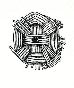 Woven basket from prehistoric stilt-house settlement (from Meyers Lexikon, 1896, 13/754/755)
