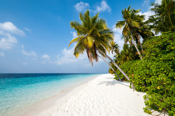 Plage des Maldives - île de Filitheyo