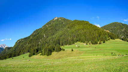 alpine meadow in the dolomites