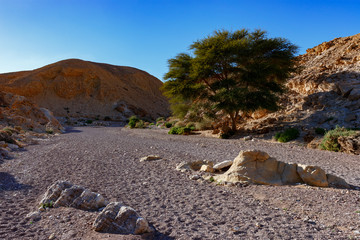 Obraz na płótnie Canvas Red Canyon, Ejlat, Izrael 