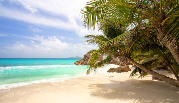 Traumstrand auf den Seychellen