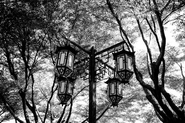 classic chinese lamp in the park - monochrome