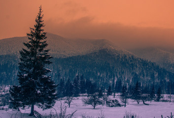 Beautiful winter morning in Carpathian mountains, Ukraine, mountain panoramic landscape