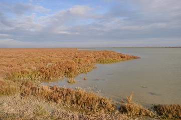  Regional Natural Park of the Camargue