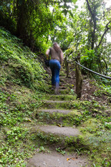 Naklejka na ściany i meble steps in the rainforest